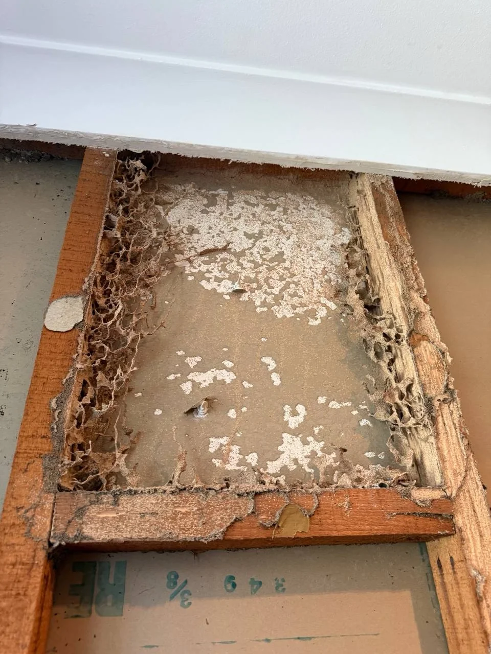 Exposed original timber framing showing deteriorated material and damaged wall lining