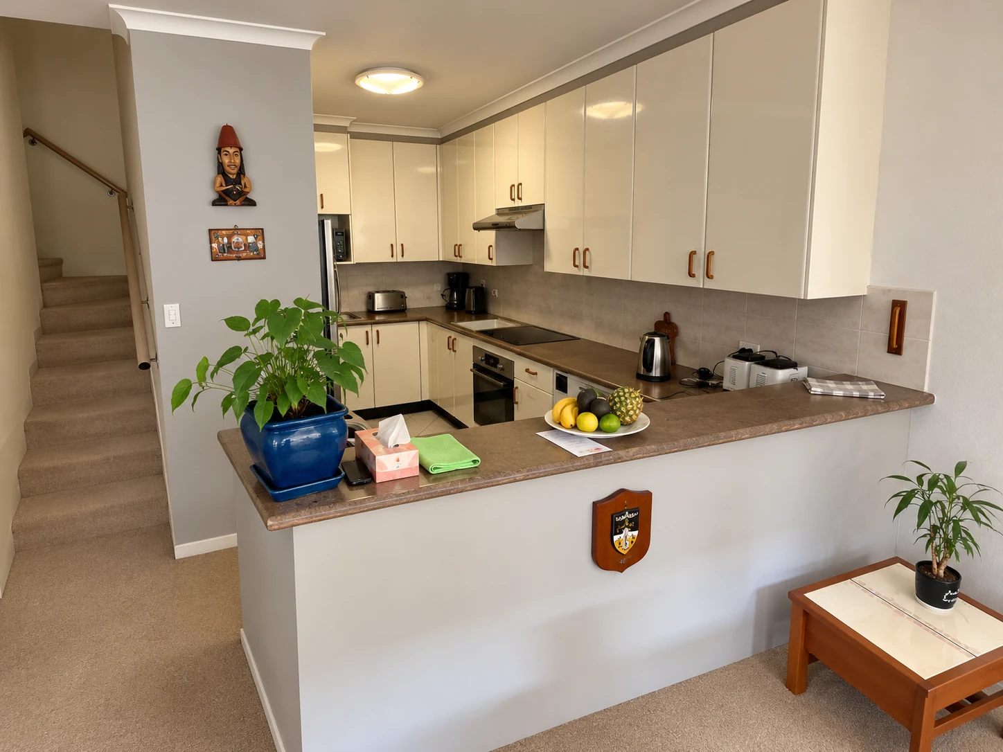 Rosebery kitchen before refurbishment, with original plain breakfast bar and benchtops